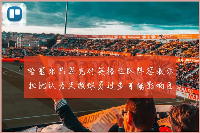 哈塞尔巴因克对英格兰队阵容表示担忧认为天赋球员过多可能影响团队合作