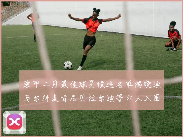 意甲二月最佳球员候选名单揭晓迪马尔科麦肯尼贝拉尔迪等六人入围