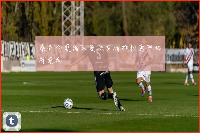 桑乔今夏离队曼联多特维拉意甲均有意向