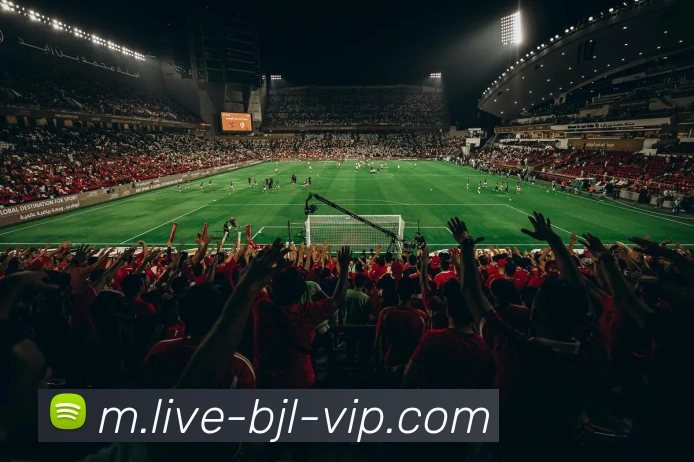 真人百家乐网站服务体系